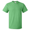 Fruit of the Loom Men's Kelly HD Cotton Short Sleeve T-Shirt