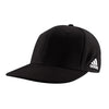 Color Black