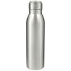 Bullet Silver Vida 24oz Stainless Steel Bottle