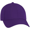 Ahead University Purple/University Purple Frio Cap